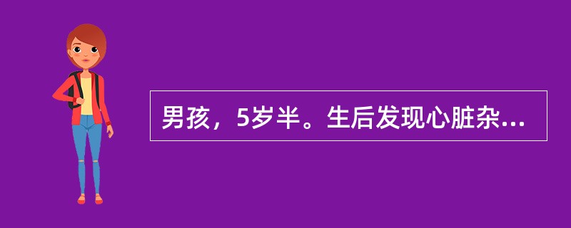 男孩，5岁半。生后发现心脏杂音。平时易感冒。曾患过肺炎3次，体重16kg，无发绀