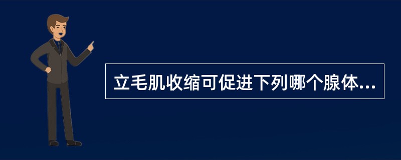 立毛肌收缩可促进下列哪个腺体的排泄（）。