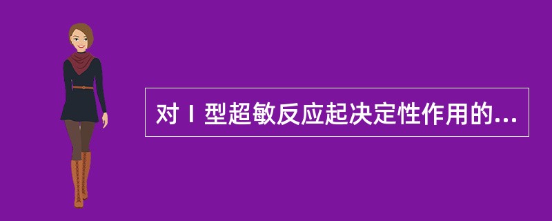 对Ⅰ型超敏反应起决定性作用的细胞是（）。