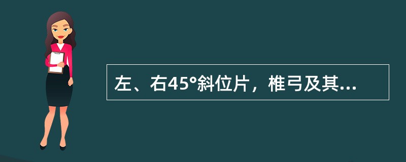 左、右45°斜位片，椎弓及其附件投影似"狗"形，峡部裂时似狗颈戴项链，椎弓根断面