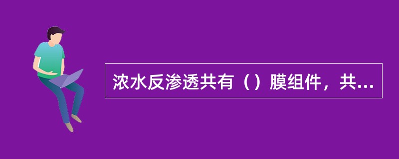 浓水反渗透共有（）膜组件，共有（）膜元件，排列方式为（）。