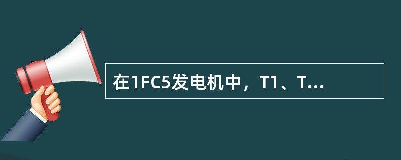 在1FC5发电机中，T1、T2、T3是（）。