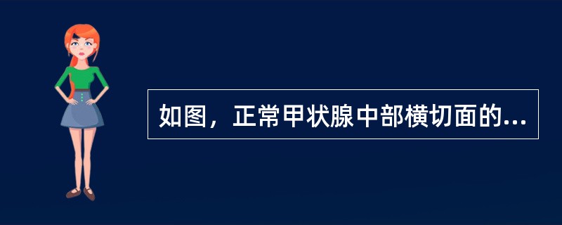 如图，正常甲状腺中部横切面的超声声像图，中央气管环状软骨前方组织为（）