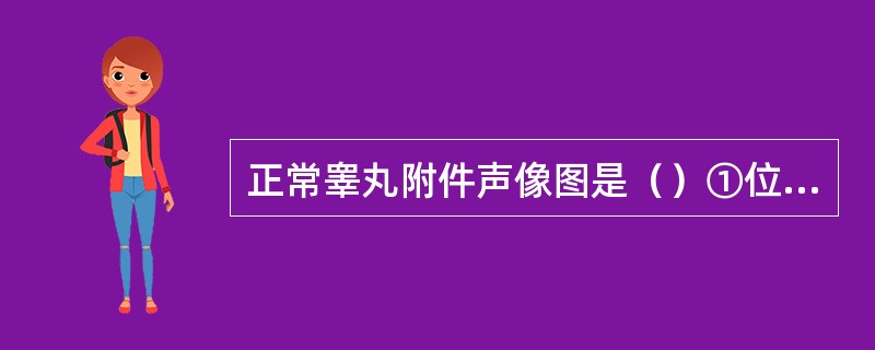 正常睾丸附件声像图是（）①位于睾丸上、附睾头下方，附着于睾丸白膜上②位于睾丸下、