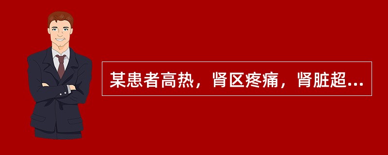 某患者高热，肾区疼痛，肾脏超声声像图如下，最可能的诊断为（）