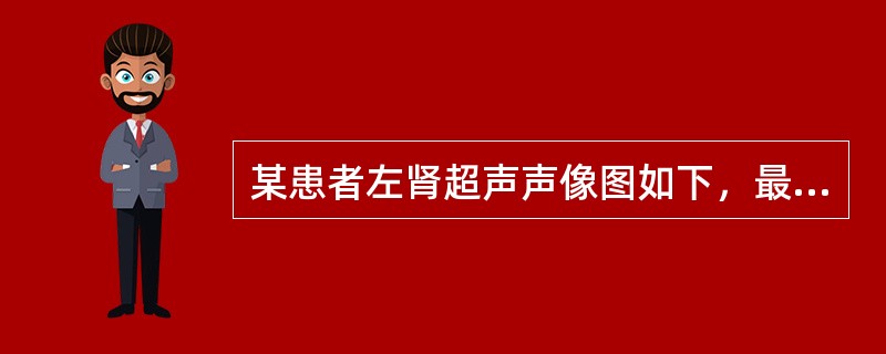 某患者左肾超声声像图如下，最可能的诊断为（）