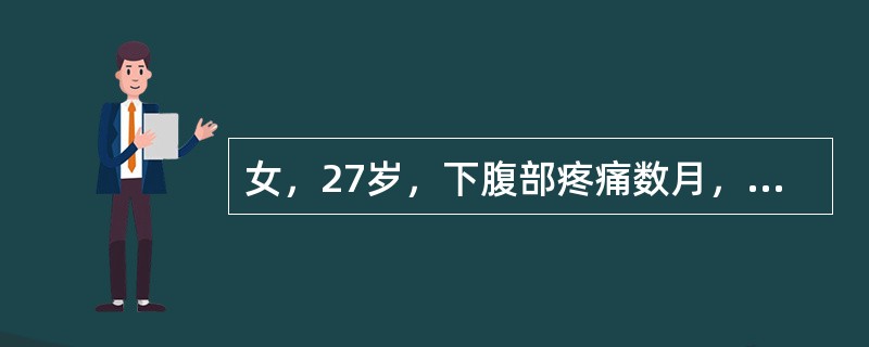 女，27岁，下腹部疼痛数月，体检：右侧附件区增厚、增大，B超检查如图所示，最可能