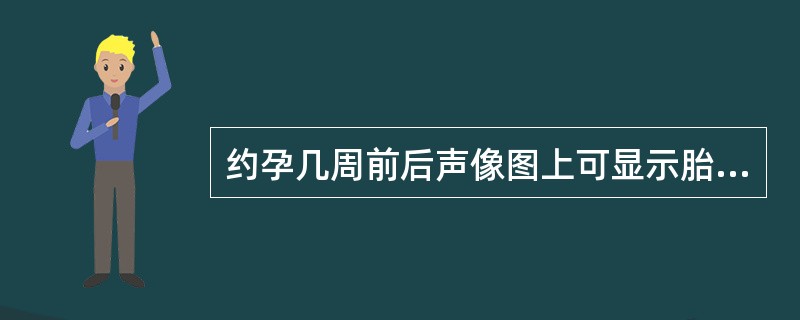 约孕几周前后声像图上可显示胎盘（）