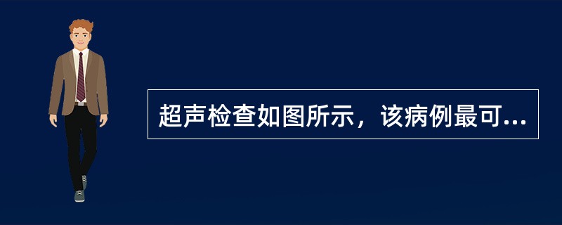 超声检查如图所示，该病例最可能诊断（）