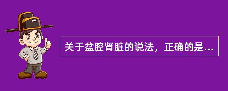 关于盆腔肾脏的说法，正确的是（）