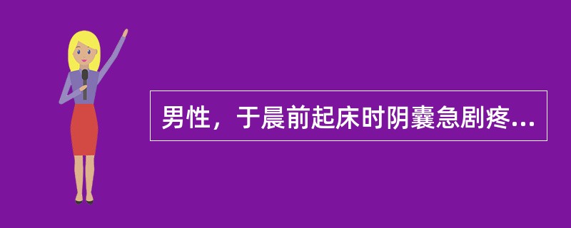 男性，于晨前起床时阴囊急剧疼痛，超声见睾丸肿大，CDFI：血流信号消失。如图所示