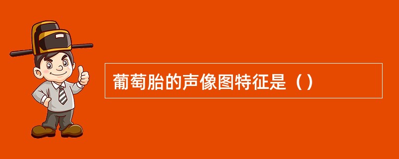 葡萄胎的声像图特征是（）