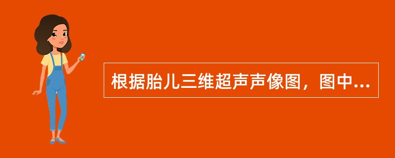 根据胎儿三维超声声像图，图中结构为（）