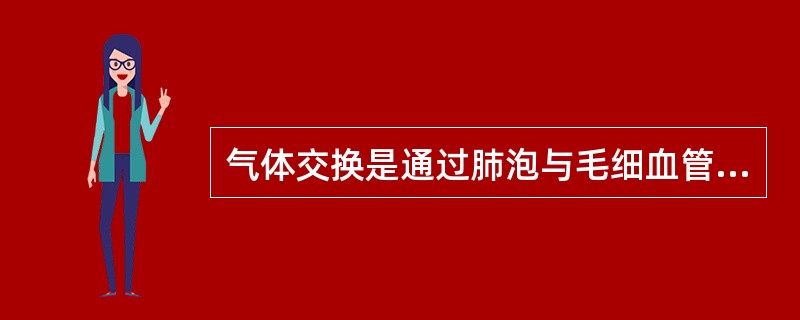 气体交换是通过肺泡与毛细血管进行的。