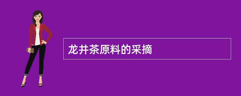 龙井茶原料的采摘