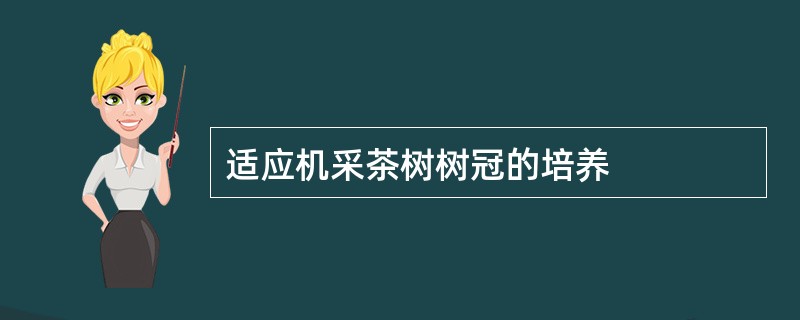 适应机采茶树树冠的培养