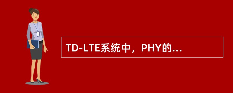 TD-LTE系统中，PHY的功能包括（）。