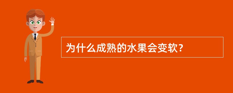 为什么成熟的水果会变软？