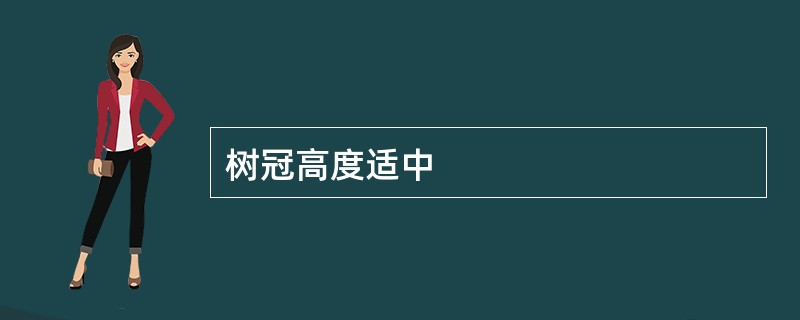 树冠高度适中