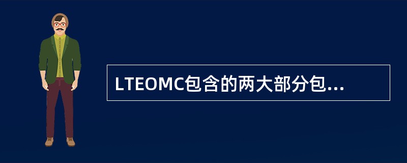 LTEOMC包含的两大部分包括（）与（）。