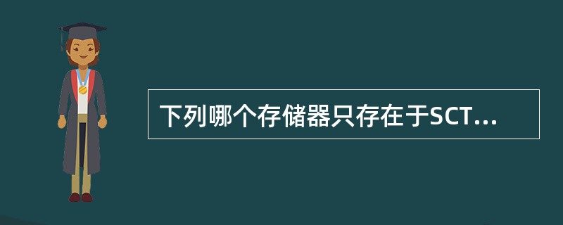 下列哪个存储器只存在于SCTA卡上（）。