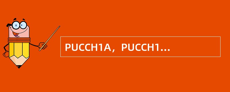 PUCCH1A，PUCCH1B两种格式分别携带什么信息？