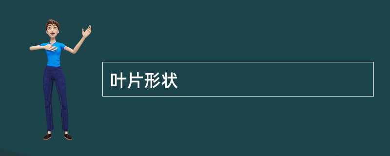 叶片形状