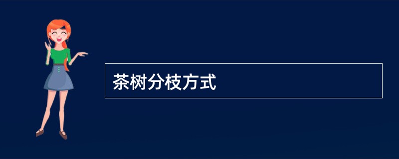 茶树分枝方式