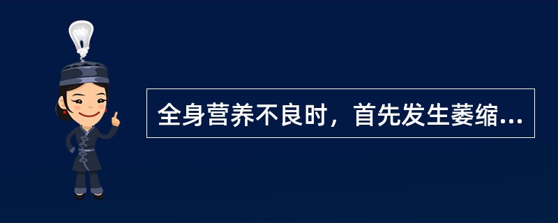 全身营养不良时，首先发生萎缩的组织或器官是（）