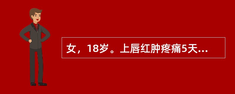 女，18岁。上唇红肿疼痛5天，加重伴寒战高热头痛2天，查体：表情淡漠，体温39.