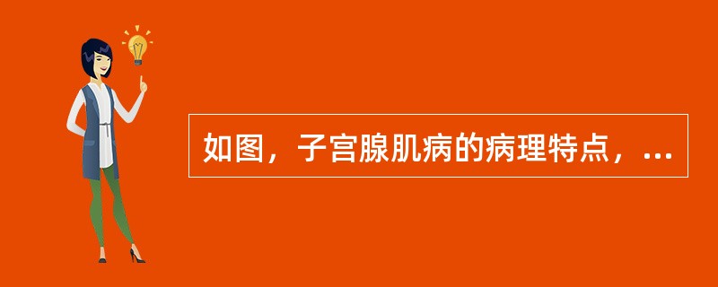 如图，子宫腺肌病的病理特点，错误的是()