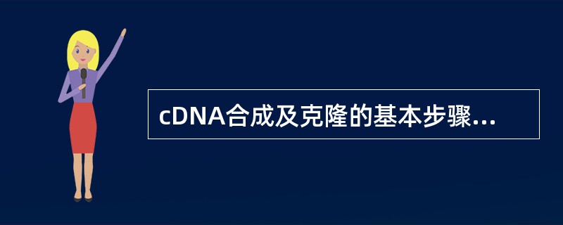 cDNA合成及克隆的基本步骤包括用反转录酶合成cDNA第一链，聚合酶合成cDNA
