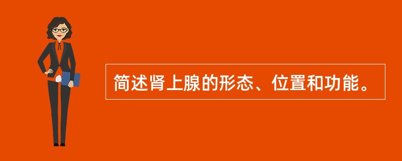 简述肾上腺的形态、位置和功能。