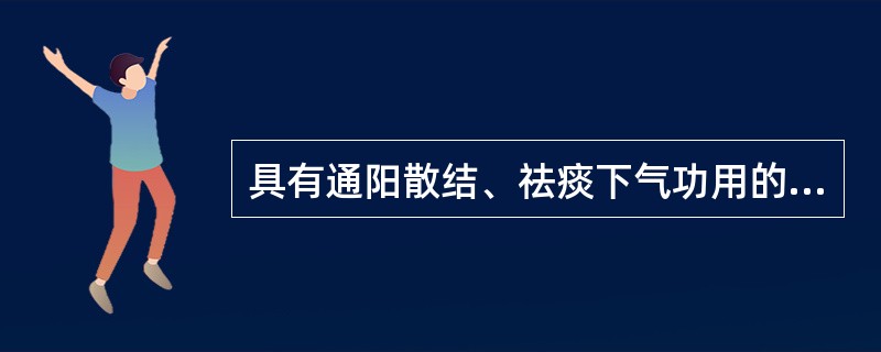 具有通阳散结、祛痰下气功用的方剂是（）