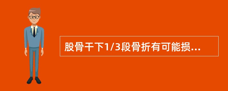 股骨干下1/3段骨折有可能损伤腘动脉，腘静脉和胫神经、腓总神经。()