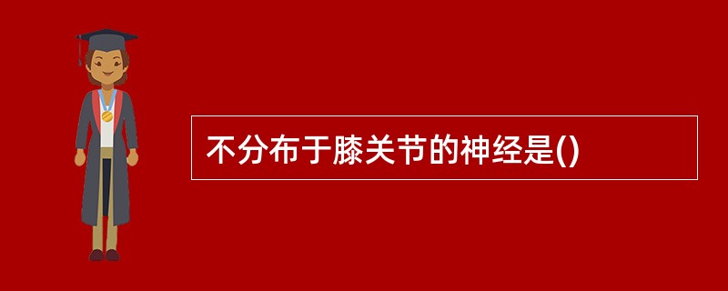 不分布于膝关节的神经是()