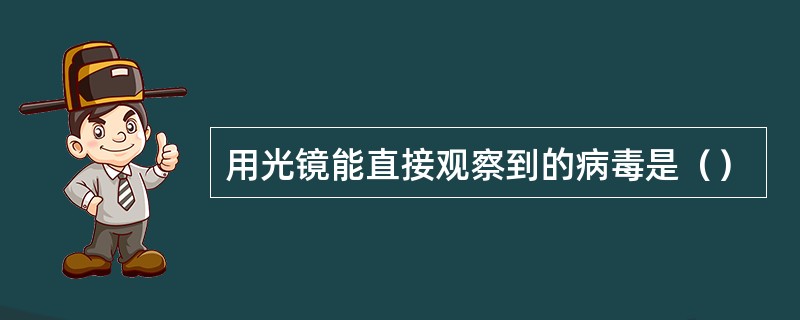 用光镜能直接观察到的病毒是（）