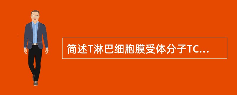 简述T淋巴细胞膜受体分子TCR的多态性原因。