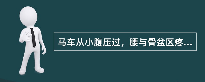 马车从小腹压过，腰与骨盆区疼痛，休克，不能自行排尿，膀胱膨满，直肠指诊，指套上染