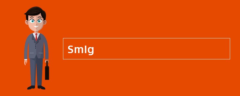 SmIg