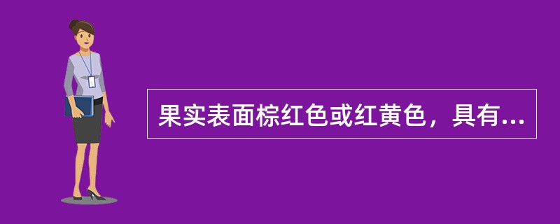 果实表面棕红色或红黄色，具有6条翅状纵棱的药材是