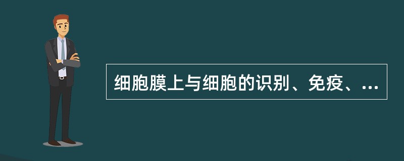 细胞膜上与细胞的识别、免疫、信息传递有密切关系的化学物质是（）。