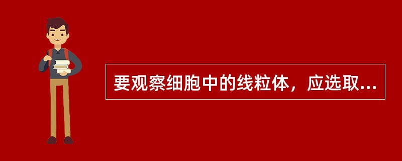 要观察细胞中的线粒体，应选取下列哪种实验材料？（）