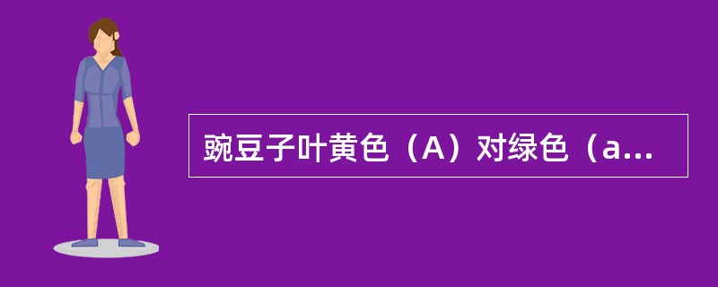 豌豆子叶黄色（A）对绿色（a）为显性，圆粒种子（B）对皱粒种子（b）为显性，图1