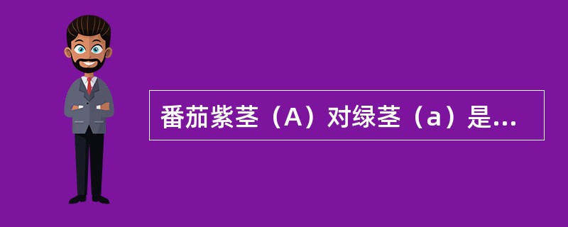 番茄紫茎（A）对绿茎（a）是显性，缺刻叶（B）对马铃薯叶（b）是显性，这两对性状