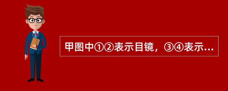甲图中①②表示目镜，③④表示物镜，⑤⑥表示物镜与载玻片之间的距离，乙和丙分别表示
