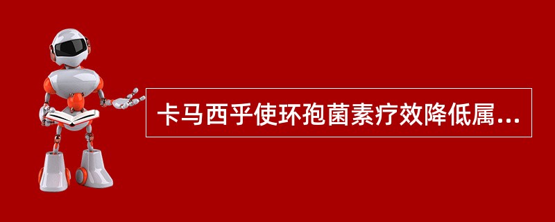 卡马西乎使环孢菌素疗效降低属于（）。