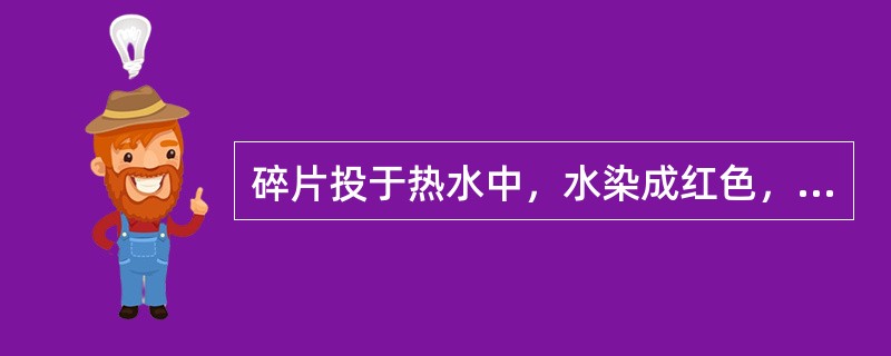 碎片投于热水中，水染成红色，加酸变成黄色，再加碱液，仍变成红色。此药材为（）