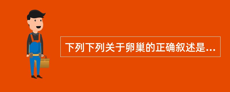 下列下列关于卵巢的正确叙述是（）。