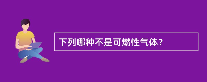 下列哪种不是可燃性气体？